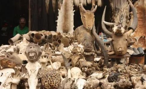 ȫ׃B(ti)10(g)ط^(du)ȥ